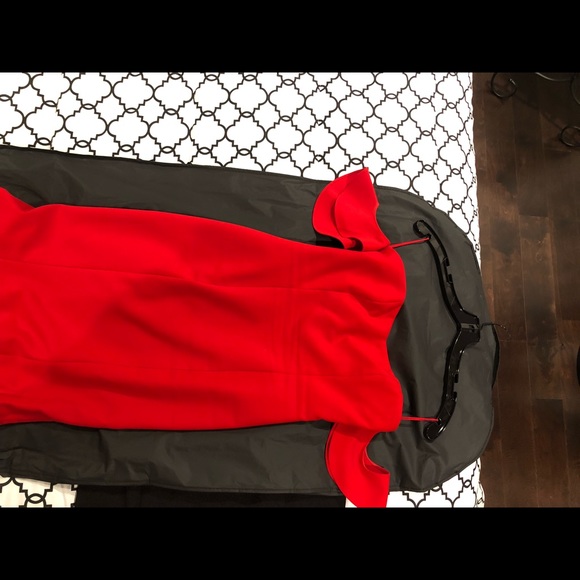 Likely Gown (size 4) - Picture 4 of 8